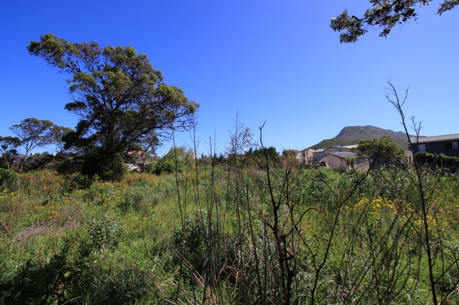 0 Bedroom Property for Sale in Bettys Bay Western Cape